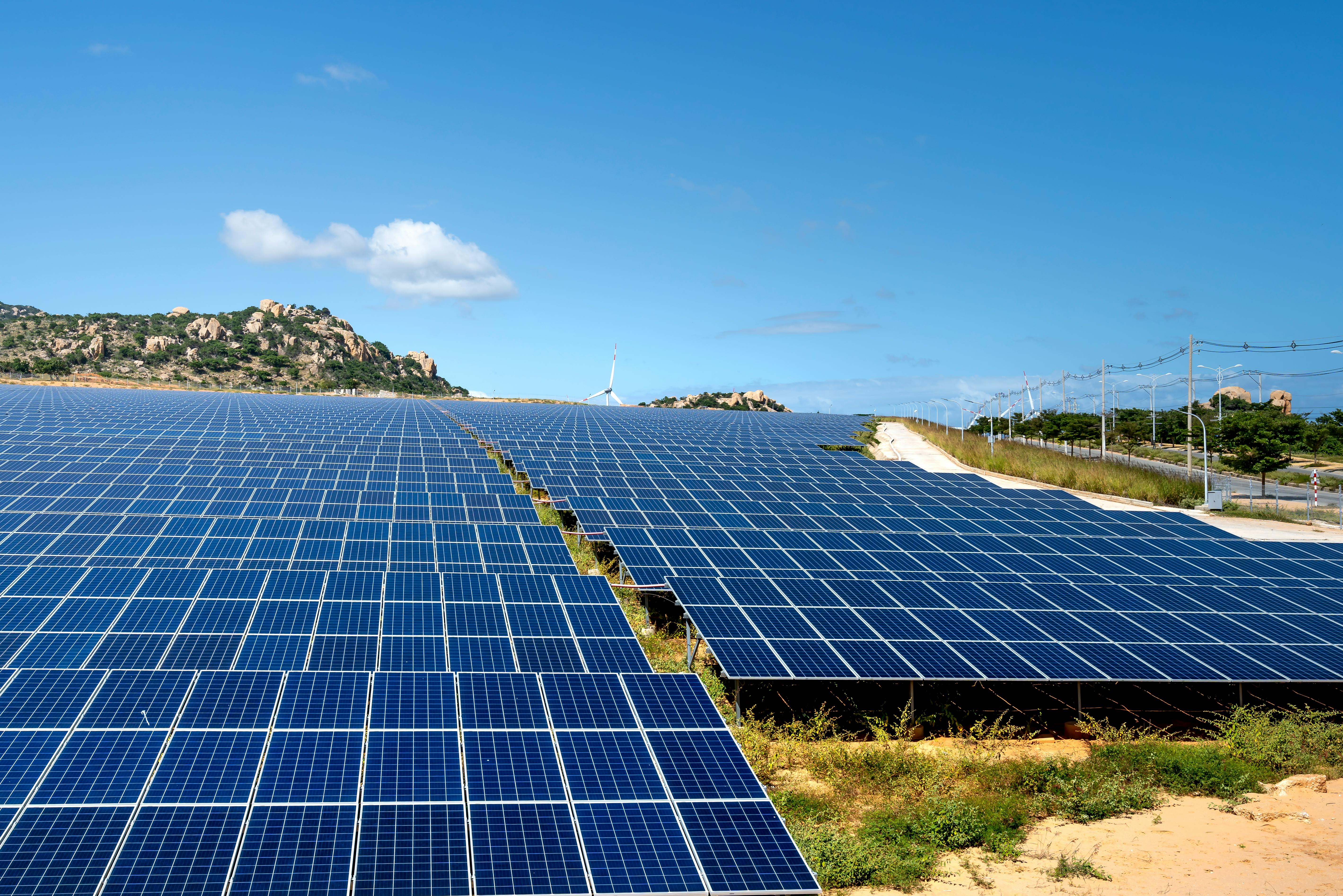 Renewable Energy (Hydropower, Solar, etc.)